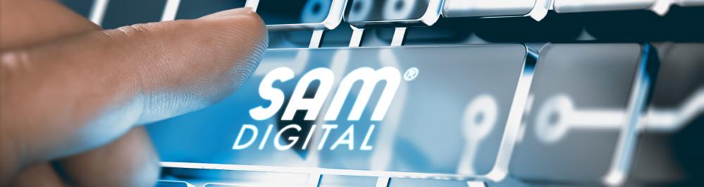 SAM_DIGITAL_SAMSON-01